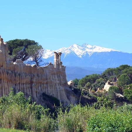 Corneilla-de-ConflentChalet Mont Canigo别墅 外观 照片