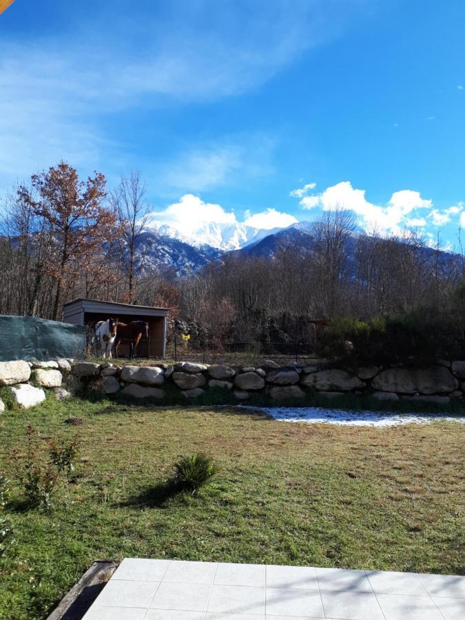 Corneilla-de-ConflentChalet Mont Canigo别墅 外观 照片