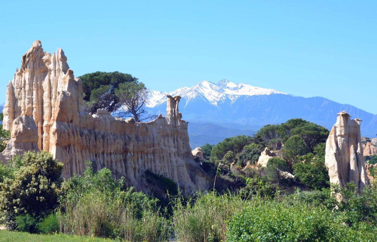 Corneilla-de-ConflentChalet Mont Canigo别墅 外观 照片