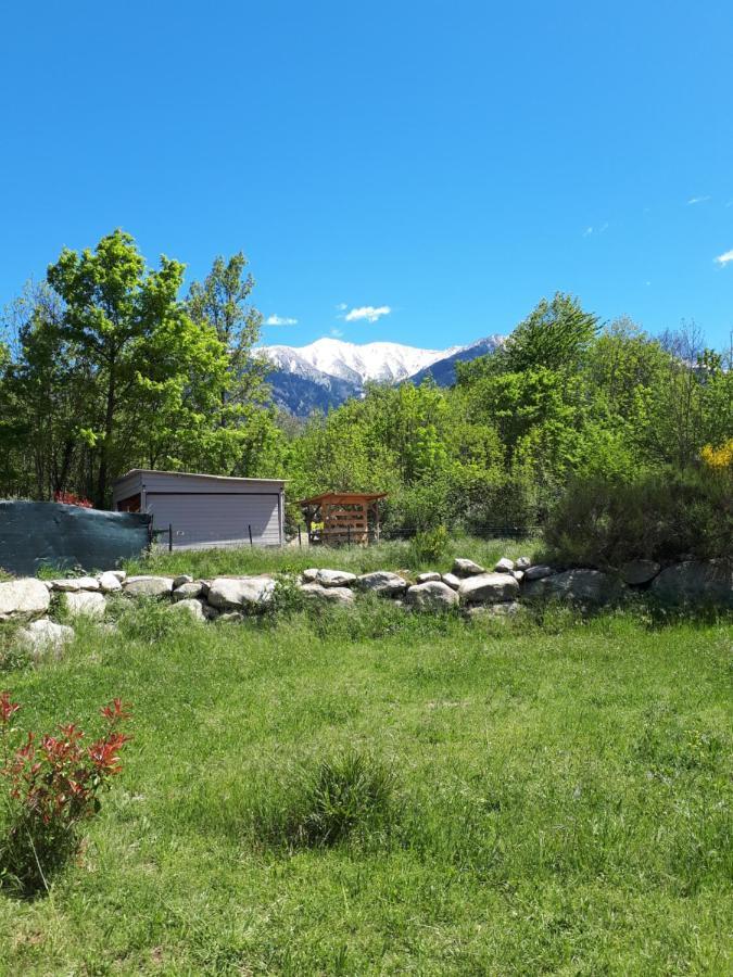 Corneilla-de-ConflentChalet Mont Canigo别墅 外观 照片