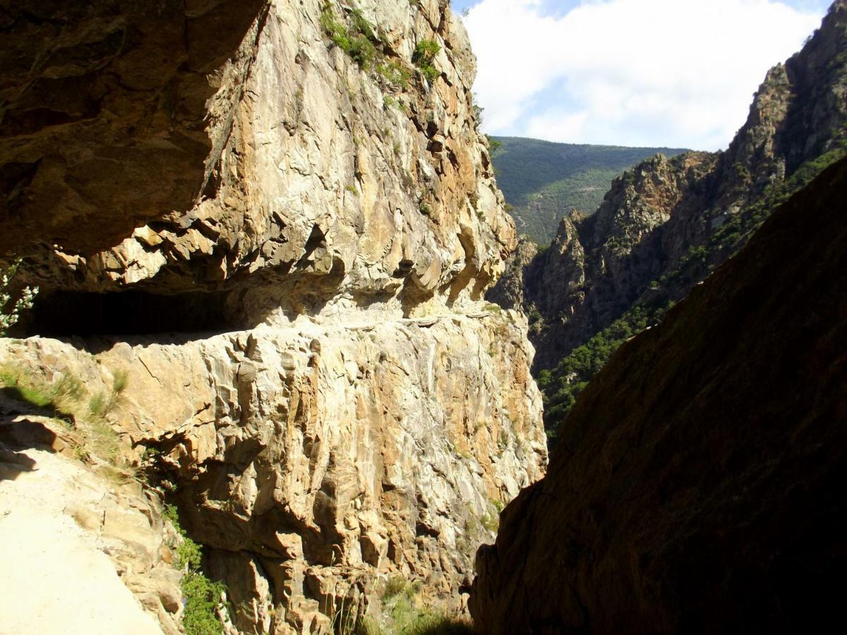 Corneilla-de-ConflentChalet Mont Canigo别墅 外观 照片