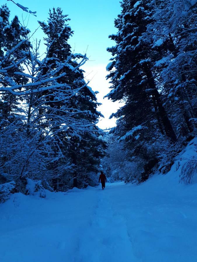Corneilla-de-ConflentChalet Mont Canigo别墅 外观 照片