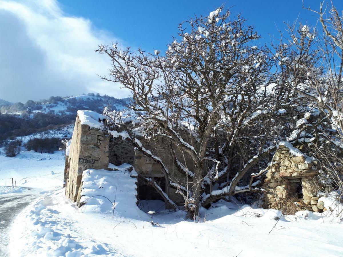 Corneilla-de-ConflentChalet Mont Canigo别墅 外观 照片